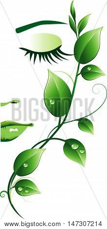 Abstract female face with green leaves. Natural beauty icon