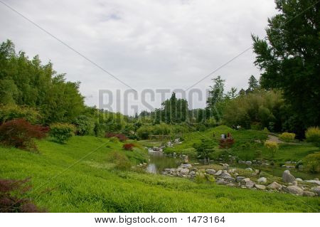 Zen Garden