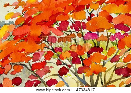 Abstract watercolor landscape original painting redorange color of peacock flower and sky background