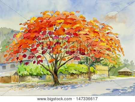 Abstract watercolor landscape original painting redorange color of peacock flower and cloud background