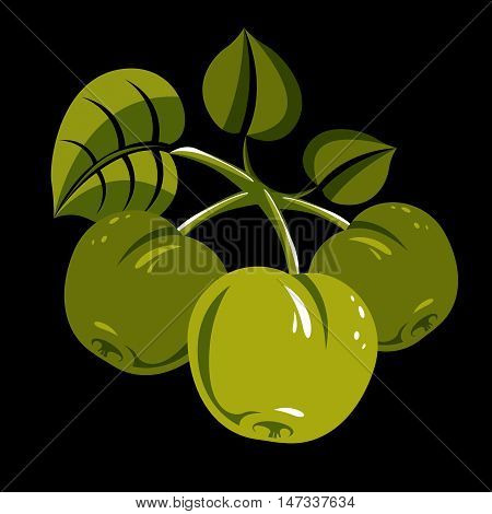 Three green simple vector apples with leaves ripe sweet fruit illustration. Healthy and organic food harvest season symbol.