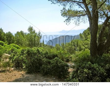Bay Of Pollenca, Formentor Peninsula - North Coast Of Majorca