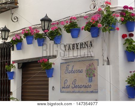 Cordoba, Spain - June 23, 2016: The sign Taberna Los Geranios in Cordoba, Spain. The outer wall of the tavern. Hanging on the wall of blue pot with pink flowers.