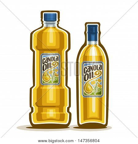 Vector logo 2 yellow plastic and glass Bottle with pure Canola Oil and label, bottles virgin cooking colza oil, container natural organic rapeseed oily liquid with blue cap, closeup isolated on white.