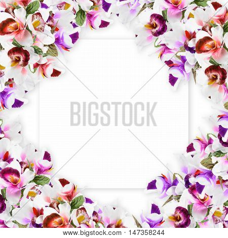 Vintage Vertical Card Spring. Colorful Blooming Branches Of Lilacflower Orchid Flower Print In Soft 
