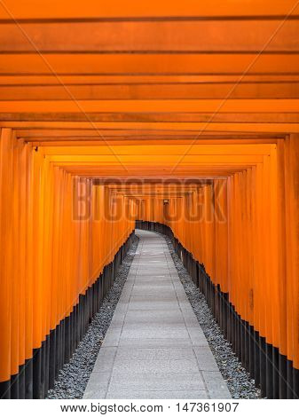 Road of Toris in Fushimi Inari shrine