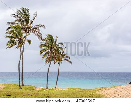 Magic View From Anakena Beach