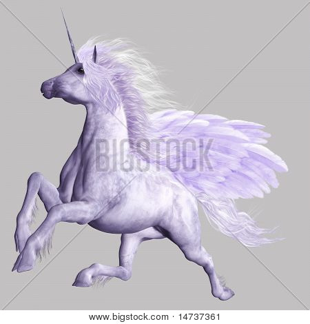 Pegasus
