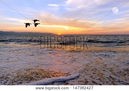 Sunset ocean birds is three silhouetted birds flying over the ocean as the sun sets on the horizon and the full moon rises in the sky.