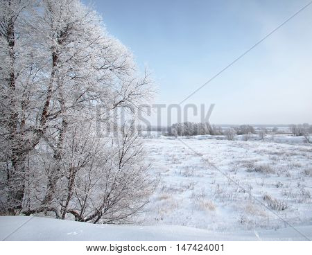 Winter Day