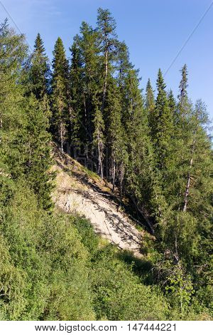 Sandy Breakage With Dense Forest