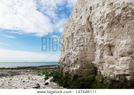 Popular White Cliffs Botany Bay La Manche English Channel Coast, Kent, England, United Kingdom