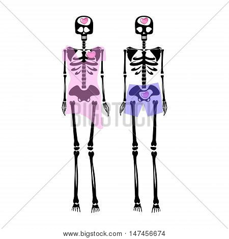 couple of skeletons with hearts. Flat illustration. Vector