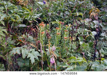 Travel To Eastern Sayan Mountains