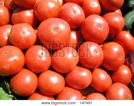 Pomodori