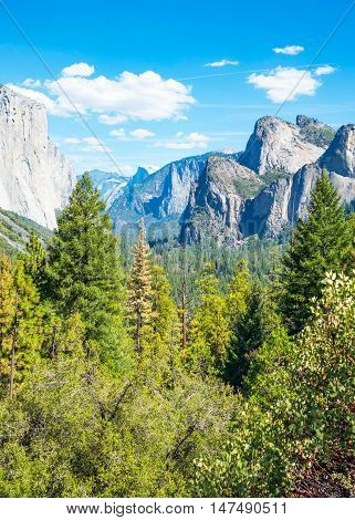 Yosemite National Park California panoramic view of the valley with the El Capitan and the Cathedral Spires mountains