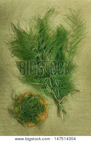 Equisetum horsetail. Dried herbs for use in alternative medicine spa herbal cosmetics herbal medicine preparing infusions decoctions tinctures powders ointments butter tea bath.