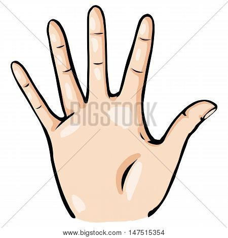 Vector Cartoon Palmwith Fingers Spread