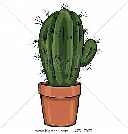 vector cartoon cactus in a pot on White Background