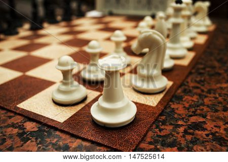 Chess and board for plaing chess in the park