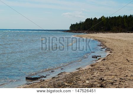 Beach with logs in Kolka. Baltic sea