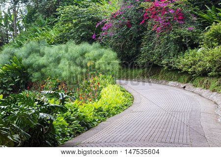 Tropical Garden In Costa Rica
