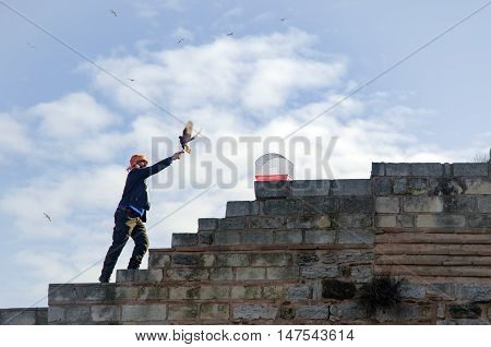 Istanbul Turkey - January 01 2015: Outdoor Bird Market in Istanbul. Topkapi Edirnekapi bird market every week on Saturdays and Sundays open market. Day 1000 - 1500 people are said to have visited the market. in many colors in the market many species are s