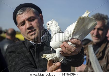 Istanbul Turkey - January 01 2015: Outdoor Bird Market in Istanbul. Topkapi Edirnekapi bird market every week on Saturdays and Sundays open market. Day 1000 - 1500 people are said to have visited the market. in many colors in the market many species are s