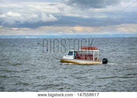 Maryland waterman fishing for crabs on the Chesapeake bay.