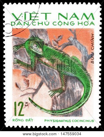 VIETNAM - CIRCA 1966 : Cancelled postage stamp printed by Vietnam, that shows Physignathus cocincinus.