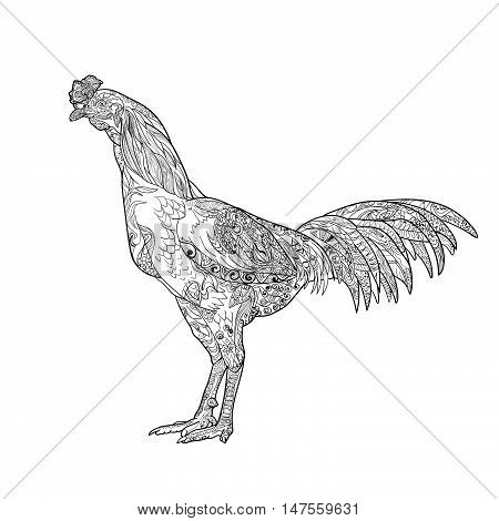 Line Art Of Cock With Coloring  Isolated On White