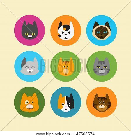 cute cat different colorful vector set icons
