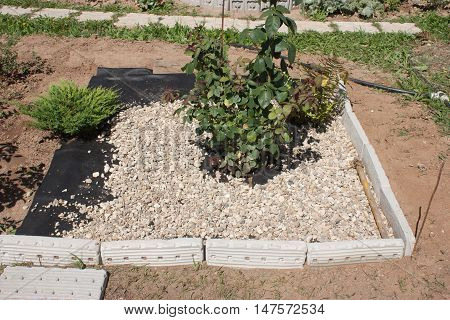 Earth is covered with a special cloth on top of the gravel. Water is supplied to the plants, and there is no sunlight, so the weed does not grow