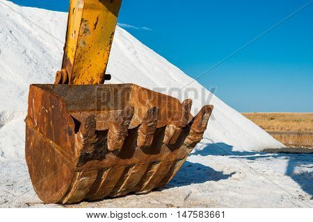 Salt Production