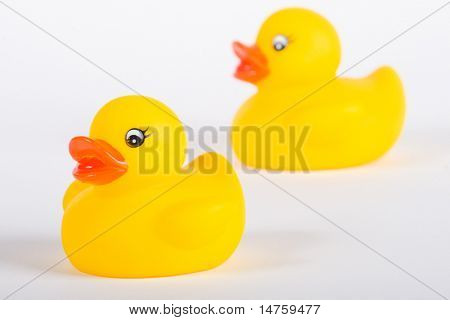 Squittio Toy paperella di gomma