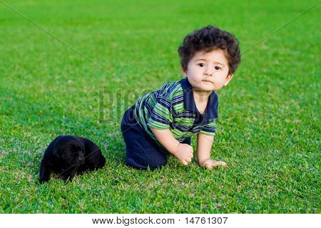menino bonito, brincando com cachorro chow preto pequeno