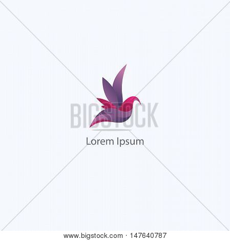 Colorful Bird logo, dove flying vector, pigeon illustration