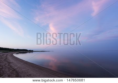 Evening sunlight and spruce tree on the coast pink clouds and blue sky background. Beach in summer. Seaside forest natural environment. Shore and pine in Koipsi Island Estonia Europe