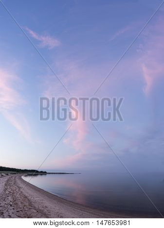 Evening sunlight and spruce tree on the coast pink clouds and blue sky background. Beach in summer. Seaside forest natural environment. Shore and pine in Koipsi Island Estonia Europe