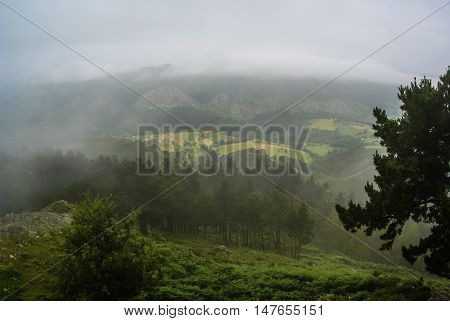 Morning Fog In The Mountains Of Asturias, Spain