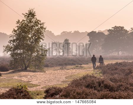 Couple Strolling Along Path Through Heathland