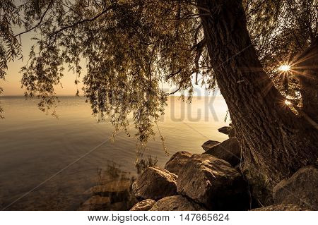 View of Simcoe lake during sunrise from Sibbald Point Provincial Park, Ontario, Canada