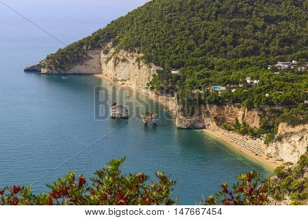 The most beautiful coasts of Italy:Baia dei Mergoli beach (Apulia).The beaches offer a breathtaking view with brigthly white karstic cliffs,emerald-blue sea,lush greenery of olive-trees,pine-woods.
