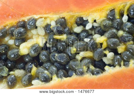 Graines de papaye