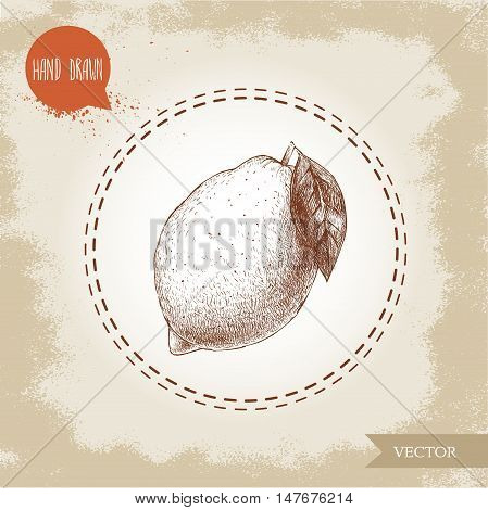 Hand drawn sketch style lemon with leaf. Healthy fruit retro vector illustration.