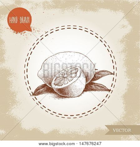 Hand drawn sketch style lemon fruit with leafs and half of lemon. Retro vector illustration.