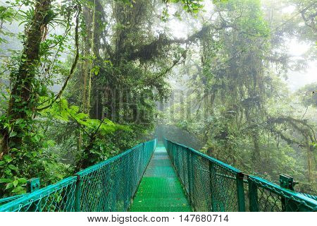 Hanging suspension bridge in Monteverde cloud forest reserve Costa Rica