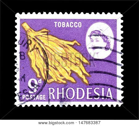 RHODESIA - CIRCA 1968 : Cancelled postage stamp printed by Rhodesia, that shows Tobacco and queen.