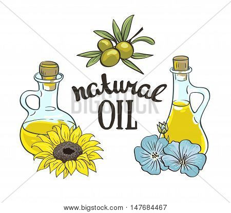 Set of bottles with sunflower linseed and olive oil. Vector isolated objects.