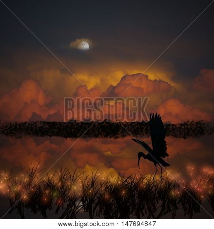 Blue Heron hunting insects and fish at night